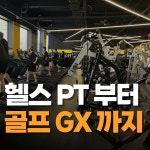 웰니스짐