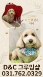 D&C그루밍샵