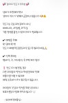 보라애견미용실