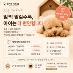 애견호텔몽이네맡겨보시개