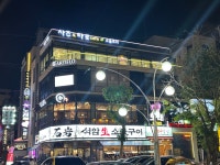 소울트리 사주타로