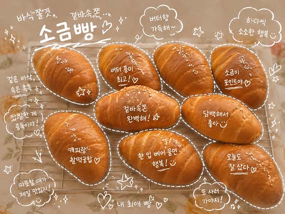 돌고래쿠키 사진