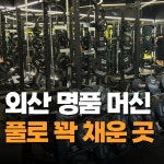 웰니스짐