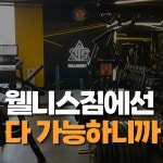 웰니스짐