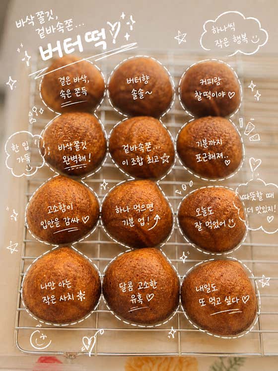 돌고래쿠키 사진
