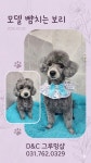 D&C그루밍샵