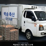 농장직송 계란유통 백송축산