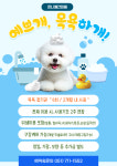 온니애견미용