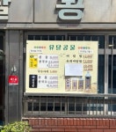 유달콩물