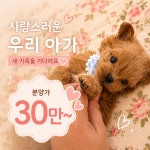 김해 강아지분양 고양이분양 베베몽