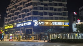 당산리더스정형외과의원 영등포