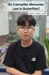윌그레이트영어교습소