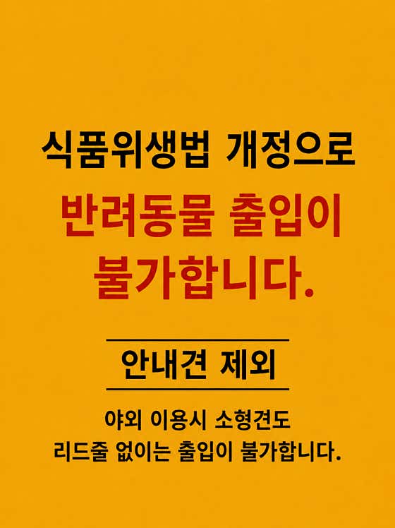 월요 사진