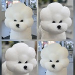 러브펫애견미용학원