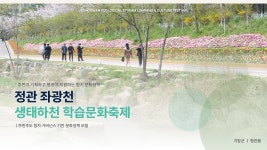 디피아이