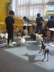 멍쉬멜로 애견카페