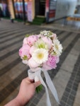 백송이광명점 | 백송이전문점 광명점