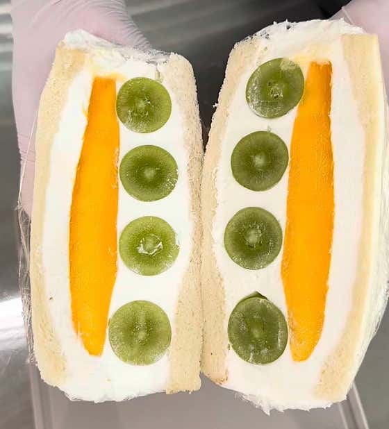 가지담 사진