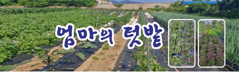 박가네가브리살전문집