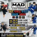 팀매드 울산동구