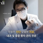 24시김승현외과동물메디컬센터