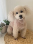몽플러피