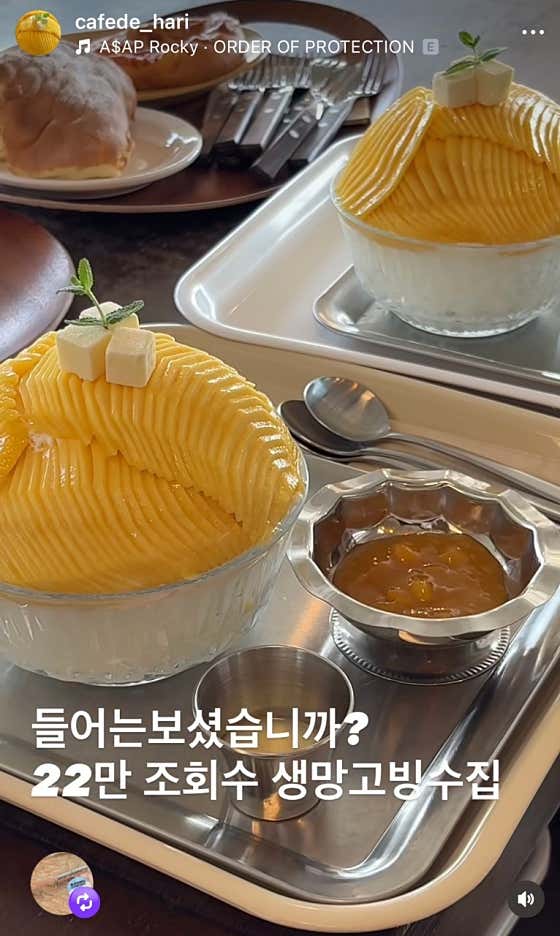 카페드하리 사진