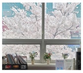 조인평산한의원 양산