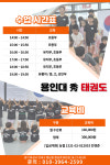 용인대수태권도장
