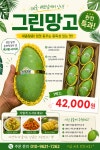 신정과일나라 | 과일나라