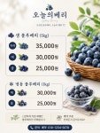 청주농촌사랑 영농조합법인