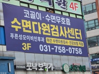 푸른성모이비인후과의원
