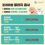 디테일 동물의료센터