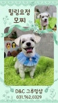 D&C그루밍샵