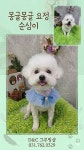 D&C그루밍샵