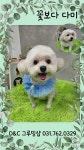 D&C그루밍샵