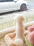 사계절예쁘개