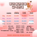 멍라운지24 데이케어 애견미용호텔 애견카페 인천점