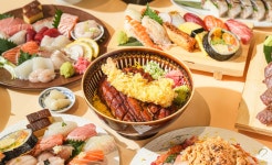텐시스시앤롤
