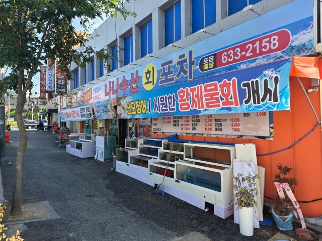 나나수산회포차