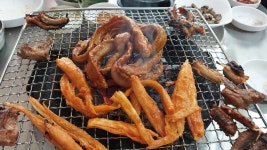뚱가네