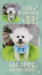 D&C그루밍샵