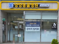 양양동물병원