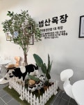 범산목장 인천왕산해수욕장점