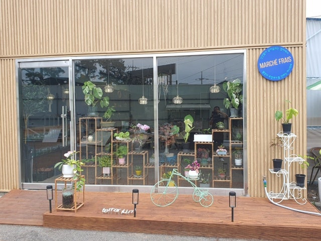 마시프레