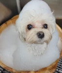라레랑