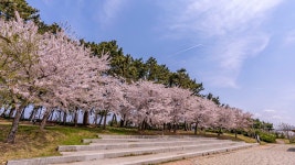 하루펜션