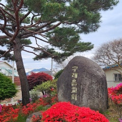구례읍교회