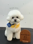 멍발소하우스