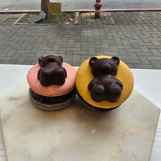 쁘띠롱 사진